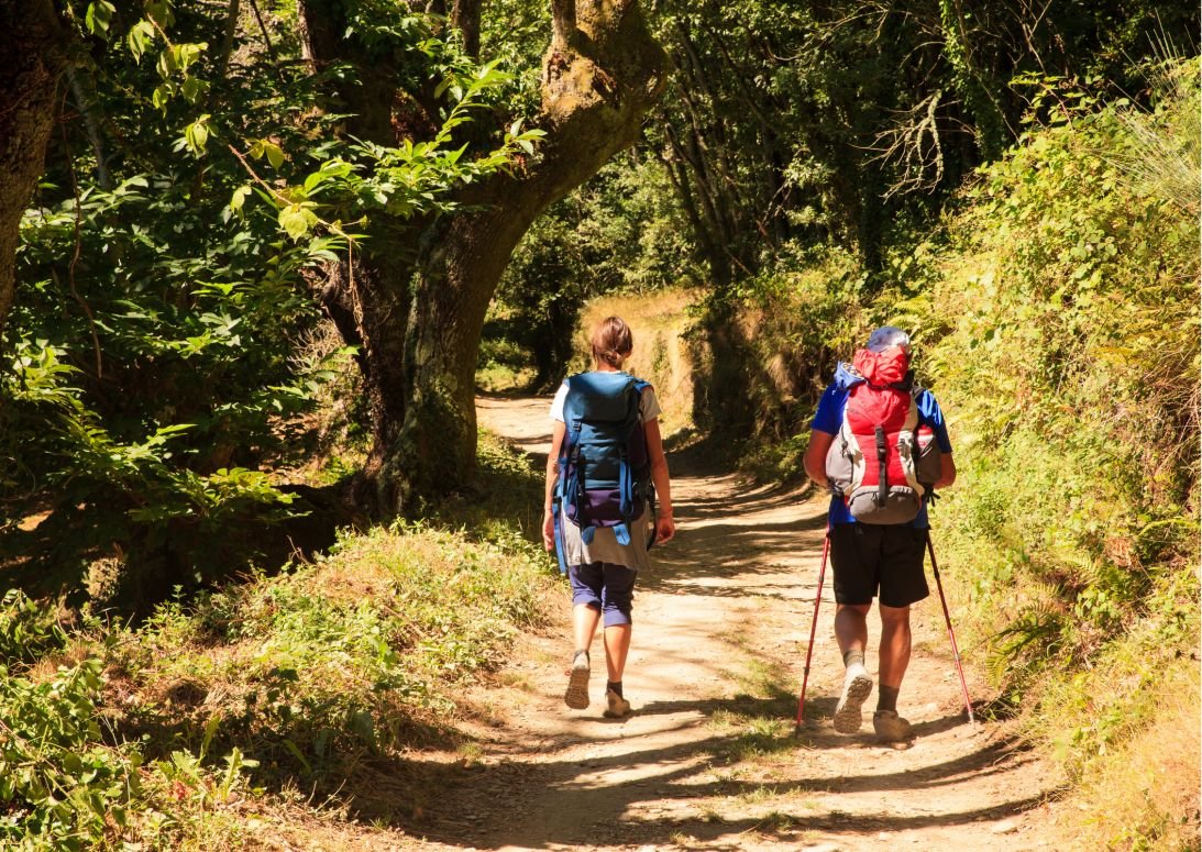 camino organizado desde Sarria